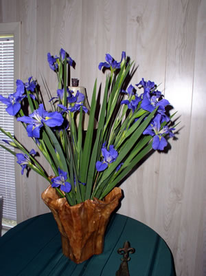Louisiana Iris - Shades of Dark Blue